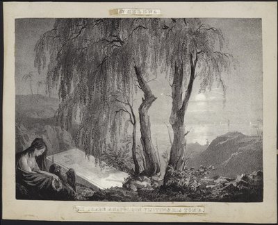 Napoleon Bonaparte besøker graven sin på St. Helena av French School