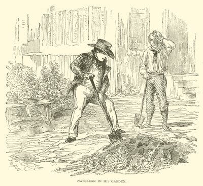 Napoleon i hagen sin (gravering) av French School