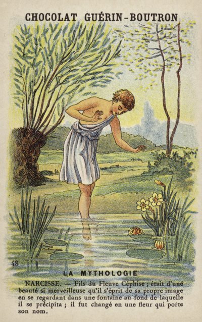Narcissus av French School