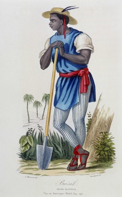 Negroplanter av Brasil - i "" Bibliotheque Universelle des Voyages"" av Albert-Montémont, red. Armand-Aubree, Paris av French School