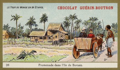 Oksevogntur på øya Borneo (chromolitho) av French School