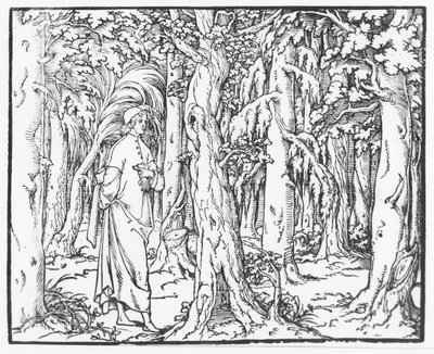 Side fra "Discourse on the Dream of Poliphile", av Francesco Colonna, 1546 av French School
