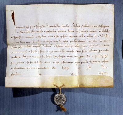 Pavelig okse av pave Innocent IV (d.1254) mot albigenserne av French School