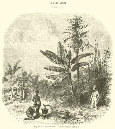 Landskap i Guadeloupe (gravering) av French School