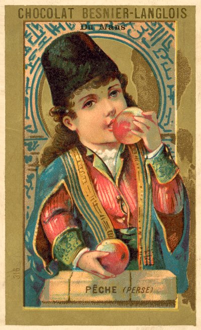Fersken fra Persia (chromolitho) av French School