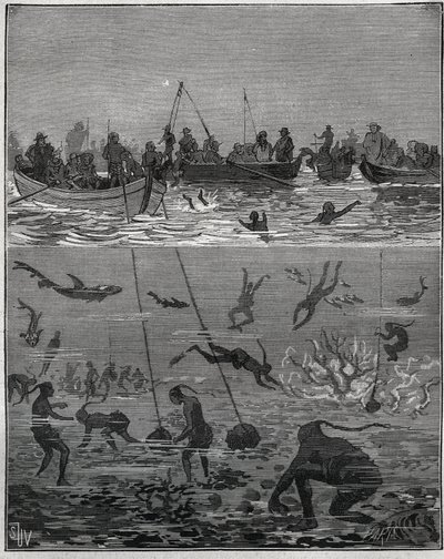 Perlefersken på Ceylon (dagens Sri Lanka) på 1800-tallet. Gravering fra 1885 i "" Les arts et metiers illustres"" av Adolphe BITARD. av French School