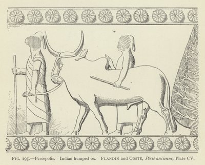Persepolis, indisk pukkelokse av French School