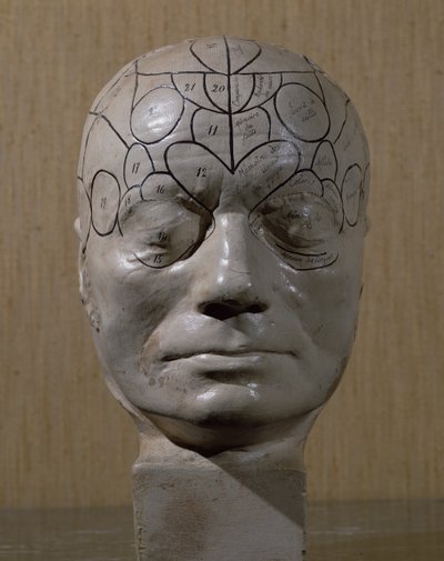 Frenologisk leder av Jean Martin Charcot (keramikk) av French School