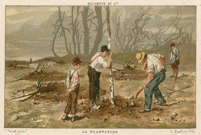 Plante trær av French School