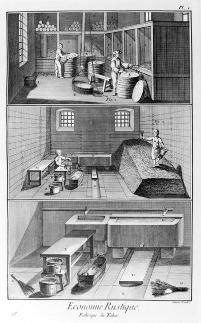 Tallerken som representerer en tobakksfabrikk. Manufacture de Tabac - L'encyclopedia Diderot & d'Alembert. (1747–1766) av French School