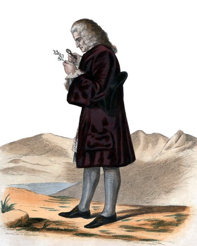 Portrett av Bernard de Jussieu (1699-1777), fransk naturforsker. av French School