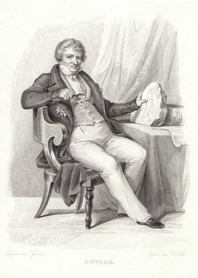 Portrett av George Cuvier av French School