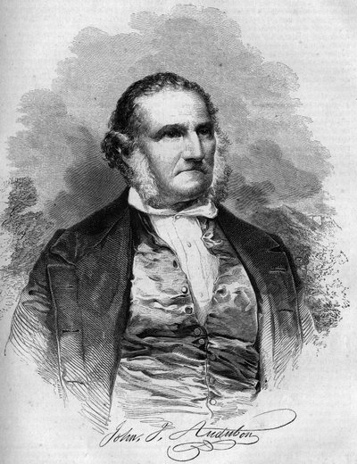 Portrett av John James Audubon (1780-1851), amerikansk ornitolog. Gravering i "" Le Magasin pittoreske"" av French School