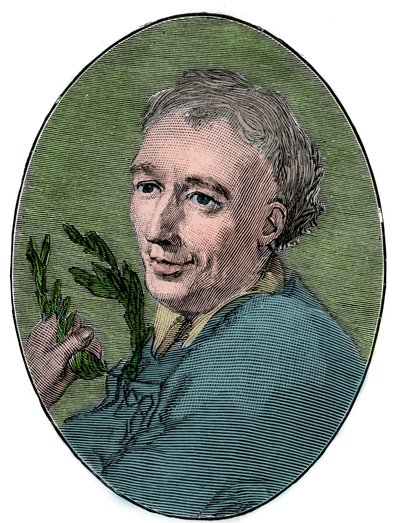 Portrett av Laurence Eusden (1688-1730) engelsk poet. av French School