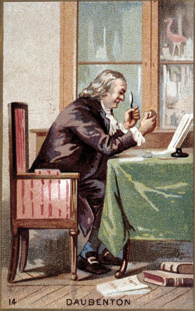 Portrett av Louis Jean Marie Daubenton (1716 - 1800), fransk naturforsker. av French School