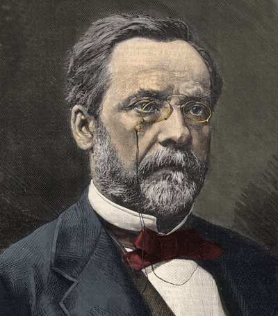 Portrett av Louis Pasteur (1822-1895), engelsk kjemiker og mikrobiolog av French School