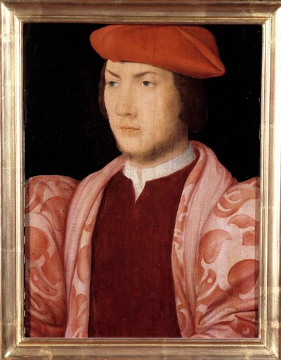 Portrett av Odet de Coligny, kardinal av Chatillon i 1534 (lyskens sønn av Gaspard de Coligny, Marechal av Frankrike og bror til admiral Gaspard de Coligny) (1517-1571) rundt 1535 Maleri av den franske skolen på 1500-tallet. Dim. 0,32x0,23m. Versaille av French School
