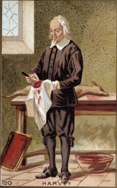 Portrett av William Harvey (1578-1657), engelsk lege. av French School