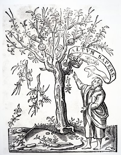 Skriverens emblem til Robert Estienne, Paris, 1526 av French School