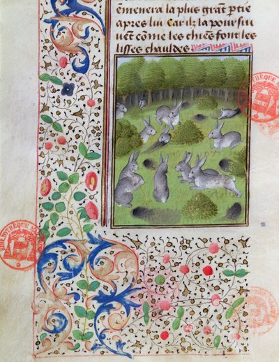 Rabbit warren, fra boken om jakten av Gaston Phebus de Foix (1331-91) av French School