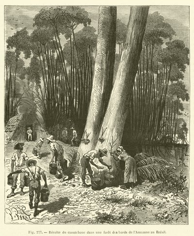 Høsting av gummi i en skog på bredden av Amazonas i Brasil av French School