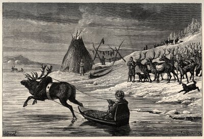 Reinsdyrflokk i Lappland - gravering fra "" The Man and the Bete" av Arthur Mangin - 1872 - av French School