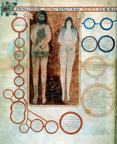 Representasjon av Adam og Eva, de røde medaljongene representerer linjen til Kain, ødelagt av Deluge Miniature som illustrerer kommentarene til "Apokalypsen ifølge Saint John" skrevet i 775 av munken Beatus de Liebana av French School