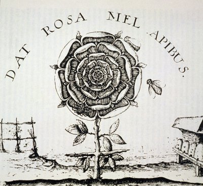 Rosicrucian Allegory, kopi av en gravering av Johann Theodore de Bry (ca. 1598), brukt i en History of Magic, utgitt sent på 1800-tallet av French School