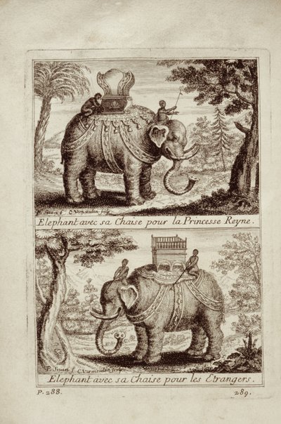 Kongelige elefanter, fra Voyage du Siam des Peres Jesuites av Guy Tachard, 1688 av French School