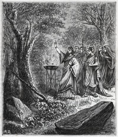 STRUFERTARI (fest i det gamle Roma for å rense de sprengte trærne) - Gravering i "" Vitenskaper brakt til forståelse av alle - populær fysikk og kjemi"" av Alexis Clerc - Slutten av 1800-tallet. Privat samling. av French School