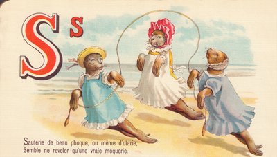 S: Sauté av vakker sel, eller til og med av sel, ser ut til å avsløre bare en ekte hån av French School