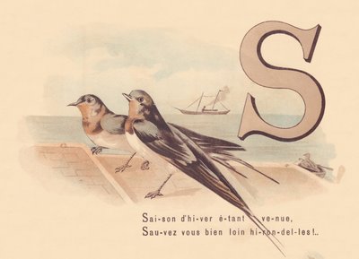 S: Vintersesongen har kommet, Redd deg selv langt borte svaler! av French School