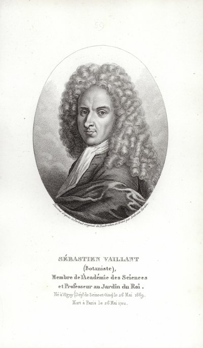 Sebastien Vaillant av French School