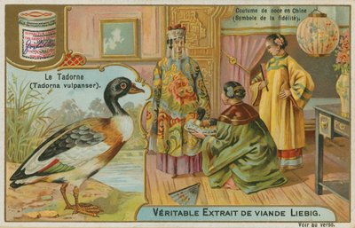 Shelduck; tilbys som en bryllupsgave i Kina hvor den blir sett på som et symbol på troskap av French School