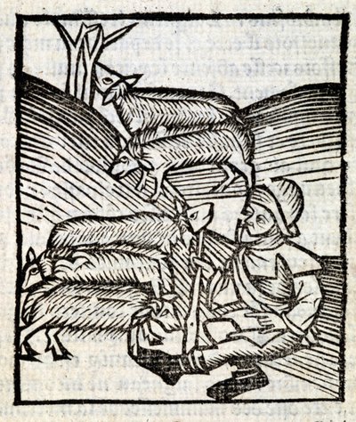 Hyrde holder lammene sine i «Le Jardin de santé oversatt fra latin til fransk, nytrykt i Paris» av French School