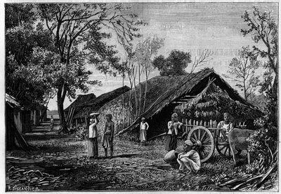 Silk production in a village in the vicinity of Mandalay, Burma, where silk worms spun their cotton. (From a photograph by Count Mahe de La Bourdonnais). Engraving in “” La Nature: revue des sciences et de leurs applications aux arts et a l