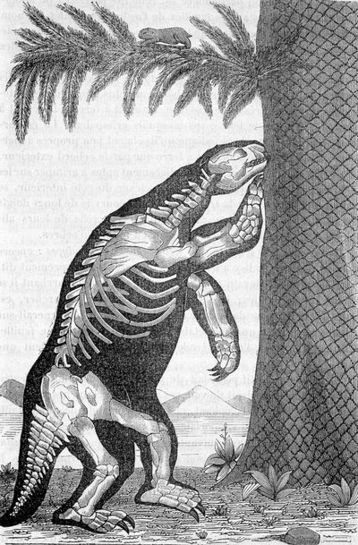 Skelett av megaterium - i "Verden før menneskets skapelse" av Camille Flammarion av French School