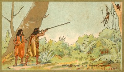 Søramerikanske indianere som jakter aper med blåserør (chromolitho) av French School