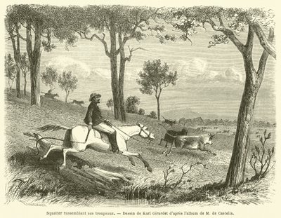 Squatter Gathering His Herds (gravering) av French School