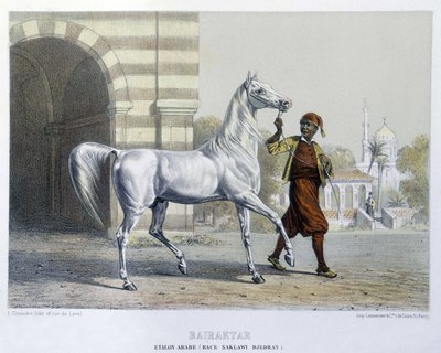 Stalon arabisk, Bairaktar av French School