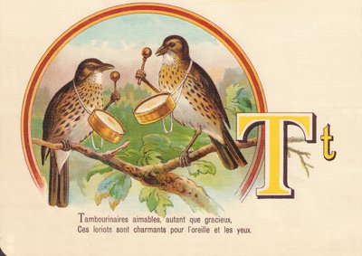T: Tambourinarians snille, så mye som grasiøse, Disse loriotene er sjarmerende for øret og øynene av French School