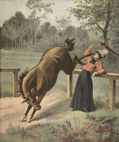 Forferdelig spark, illustrasjon fra Le Petit Journal: Supplement illustre, 3. juli 1898 av French School