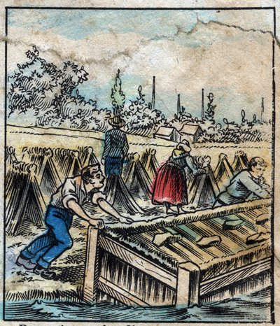 Tekstil, lin. Linrust: For å skille stråfilamenter dyppes linstøvler i vann. Gravering. Epinal avbildning sent på 1800-tallet. av French School