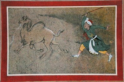 The Angry Camel Driver, illustrasjon fra 