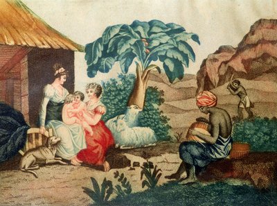 The Childhood of Paul and Virginie, fra 