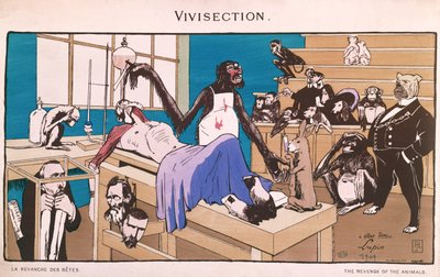 The Revenge of the Animals, karikatur av viviseksjon, 1909 av French School