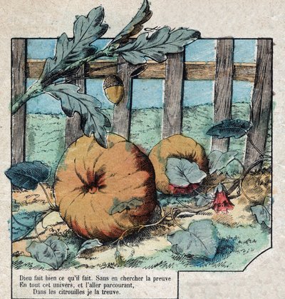 Eikenøtten og gresskaret. Fabler av Jean de La Fontaine (1621-95). Avbildning av Epinal fra slutten av 1800-tallet. av French School