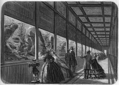 Akvariet til akklimatiseringshagen i Paris i 1863. av French School