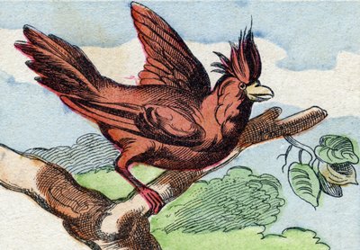 Kardinalen. Gravering i "Buffon Alphabet des Oiseaux n 2". 3. Serie N 2. Avbildning av Epinal, Epinal, sent på 1800-tallet. 16 sider. Mål: 28x21cm av French School