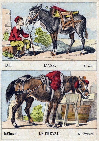 Eselet og hesten. Gravering i "Buffon Alphabet des Animaux". 3. serie N 1. Avbildning av Epinal, Epinal, sent på 1800-tallet. 16 sider. Mål: 28x21cm av French School